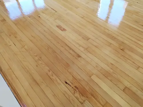 Tandoğan Parke Cilalama